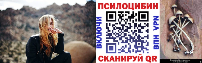 Псилоцибиновые грибы Psilocybine cubensis  ОМГ ОМГ как войти  Новоалександровск 