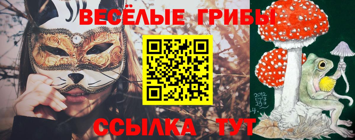 Новоалександровск  Псилоцибиновые грибы прущие грибы  Вход с VPN  Галлюциногенные грибы ЛСД 