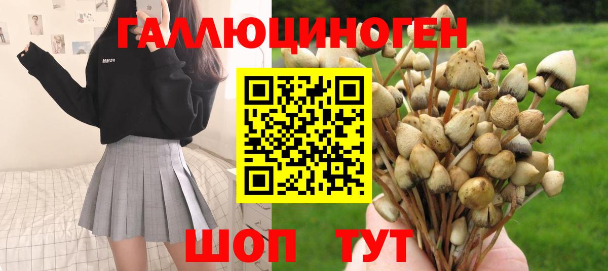 Псилоцибиновые грибы мухоморы  Новоалександровск 